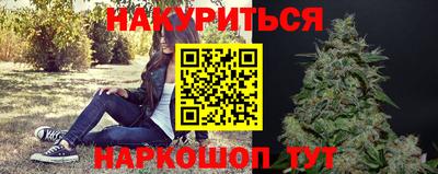 стаф Шебекино