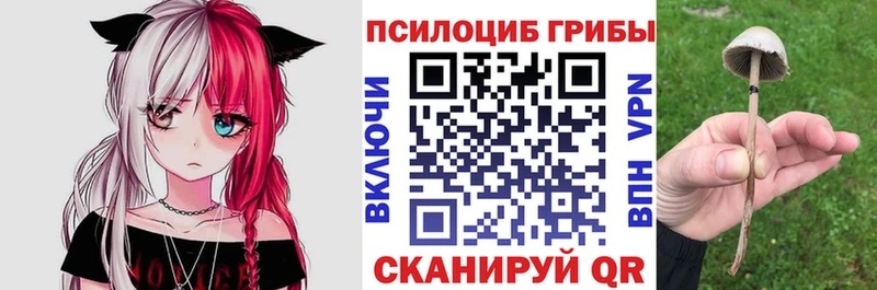 купить   Североуральск  Псилоцибиновые грибы прущие грибы 