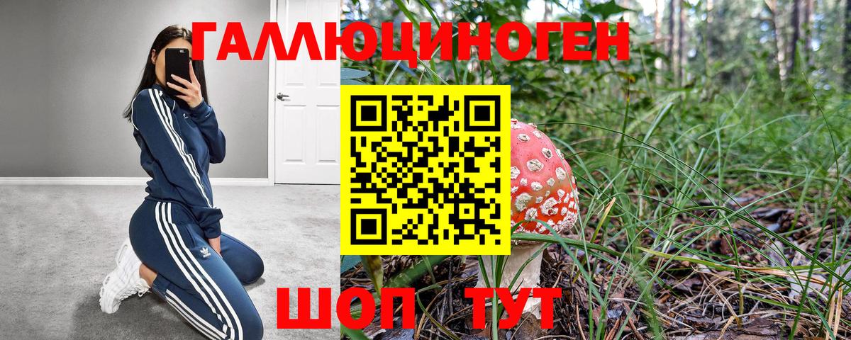 Североуральск  Псилоцибиновые грибы мицелий  Галлюциногенные грибы Magic Shrooms  Вход с VPN 